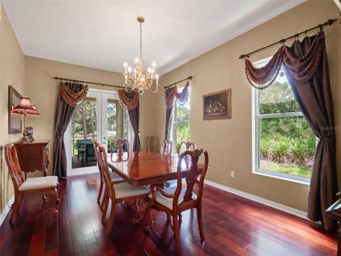 17422 Heather Oaks Place, Tampa FL - photo 12 of 78