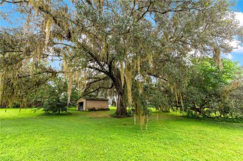 5135 SE 125th Street, Belleview FL - photo 16 of 71