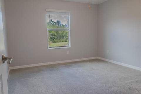 17711 Nectar Flume Drive, Land O Lakes FL - photo 13 of 33