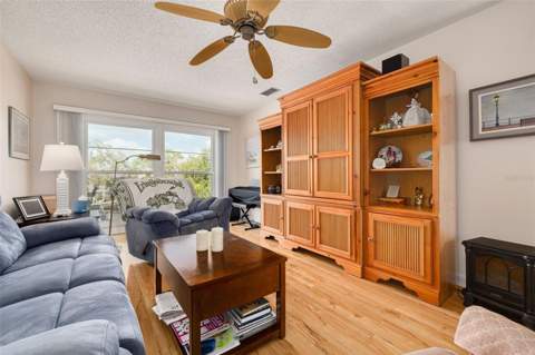 2700 Bayshore Boulevard #5302, Dunedin FL - photo 8 of 66