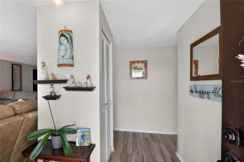 6108 Fairway Boulevard, Apollo Beach FL - photo 6 of 54