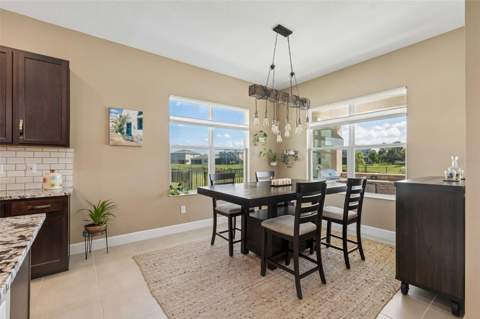 32732 Tree Of Life Avenue, Wesley Chapel FL - photo 15 of 64