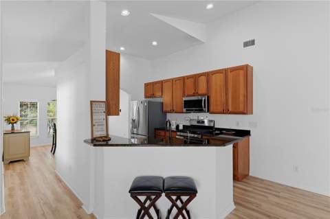 19406 Sunset Bay Drive, Land O Lakes FL - photo 8 of 48