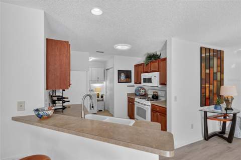2368 Branchville Terrace, The Villages FL - photo 23 of 50
