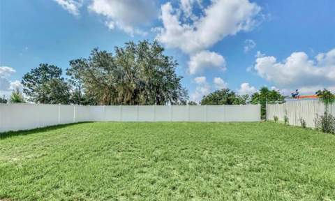 510 Lobelia Drive, Davenport FL - photo 8 of 30