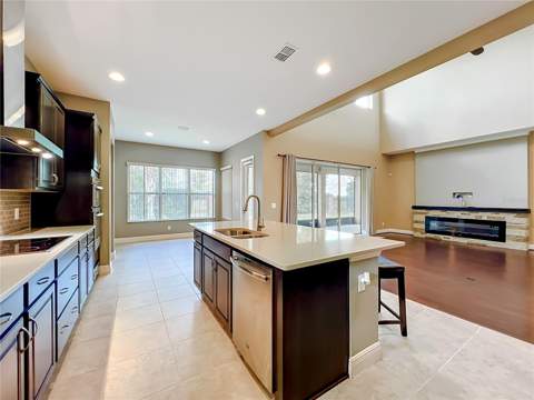 1315 Dusty Pine Drive, Apopka FL - photo 8 of 40