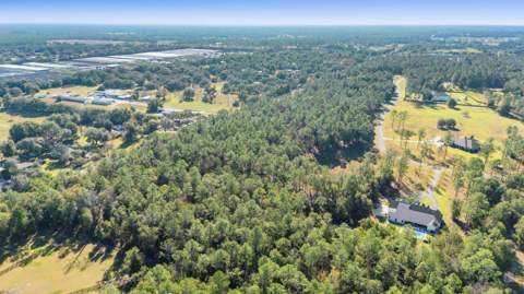 24250 Deep Springs Loop, Eustis FL - photo 10 of 11