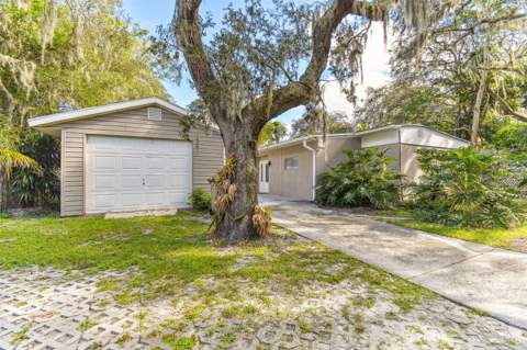 414 Joyce Avenue, Temple Terrace FL - photo 6 of 6