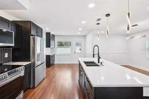 226 Willowick Avenue, Temple Terrace FL - photo 10 of 72