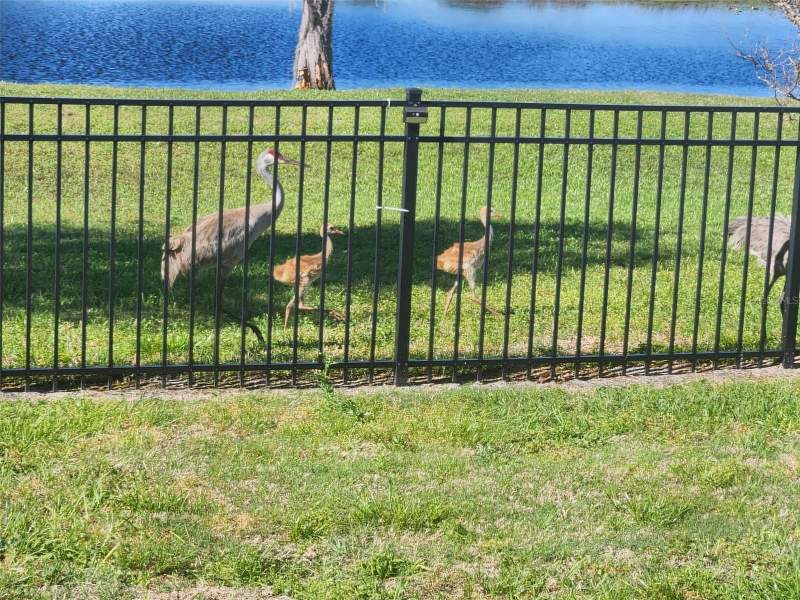 3 bedroom Single Family Residence at 11506 Lake Dr, Haines Lake Estates, Leesburg — photo 5