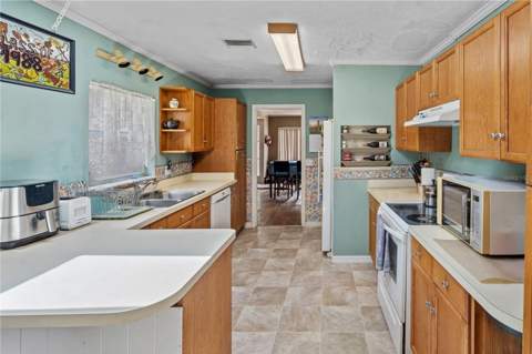 26015 Sackamaxon Drive, Sorrento FL - photo 9 of 28