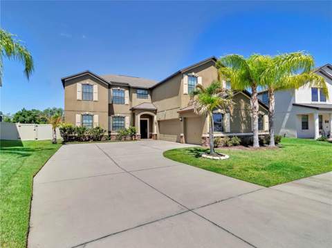 5063 Ivory Stone Drive, Wimauma FL - photo 7 of 69