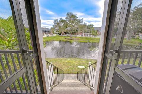 13693 Orange Sunset Drive #203, Tampa FL - photo 7 of 43