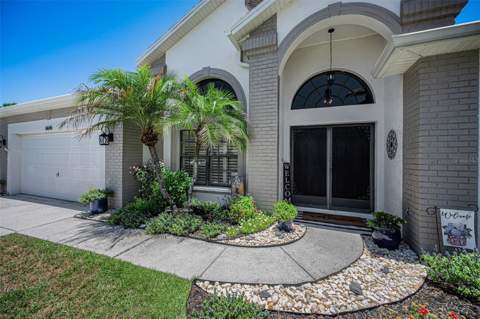 6646 Garden Palm Court, New Port Richey FL - photo 11 of 79