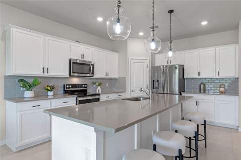 17319 Million Lakes Court, Clermont FL - photo 6 of 53