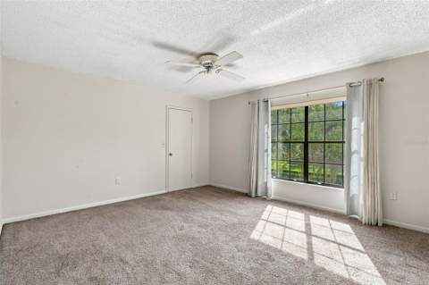 3380 Crystal Court #P, Palm Harbor FL - photo 21 of 44