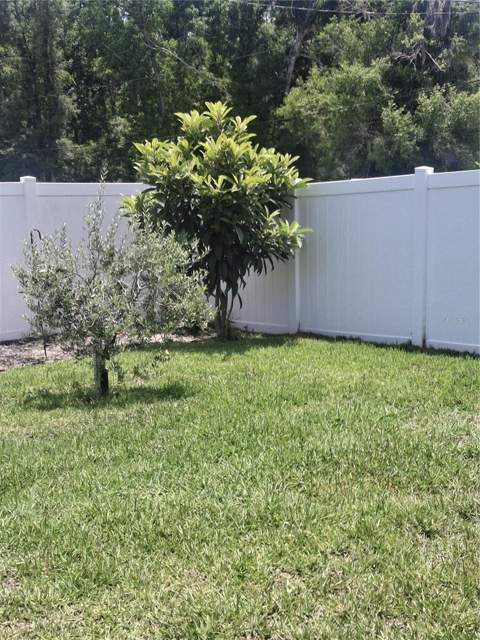 12618 Vander Way, New Port Richey FL - photo 20 of 22