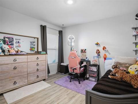 3392 Autumn Amber Drive, Spring Hill FL - photo 23 of 44
