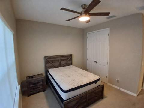 29900 Walsh Oak Drive, Wesley Chapel FL - photo 8 of 87