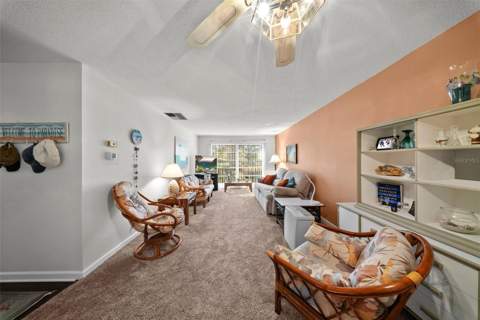 2700 Bayshore Boulevard #4106, Dunedin FL - photo 7 of 52