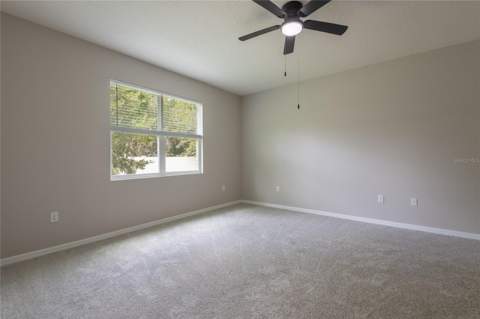 31420 Tansy Bend, Wesley Chapel FL - photo 17 of 89