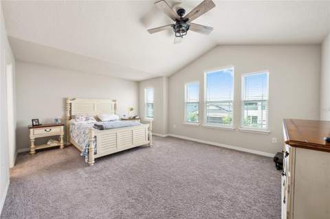 2260 Rapollo Drive, Kissimmee FL - photo 22 of 55