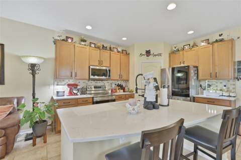 8718 Turnstone Haven Place, Tampa FL - photo 9 of 38