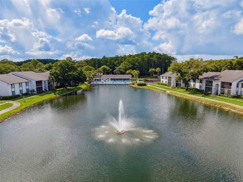 1261 Pine Ridge Circle #D1, Tarpon Springs FL - photo 21 of 26