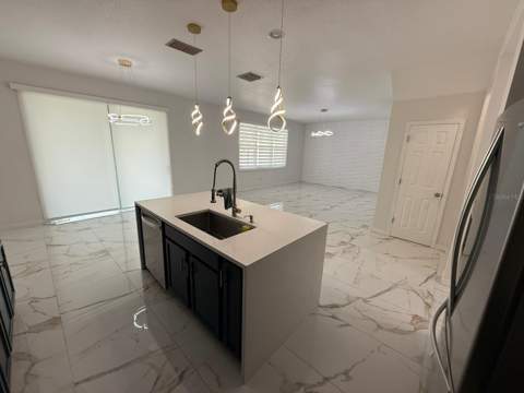 1732 Flourish Avenue, Kissimmee FL - photo 8 of 46
