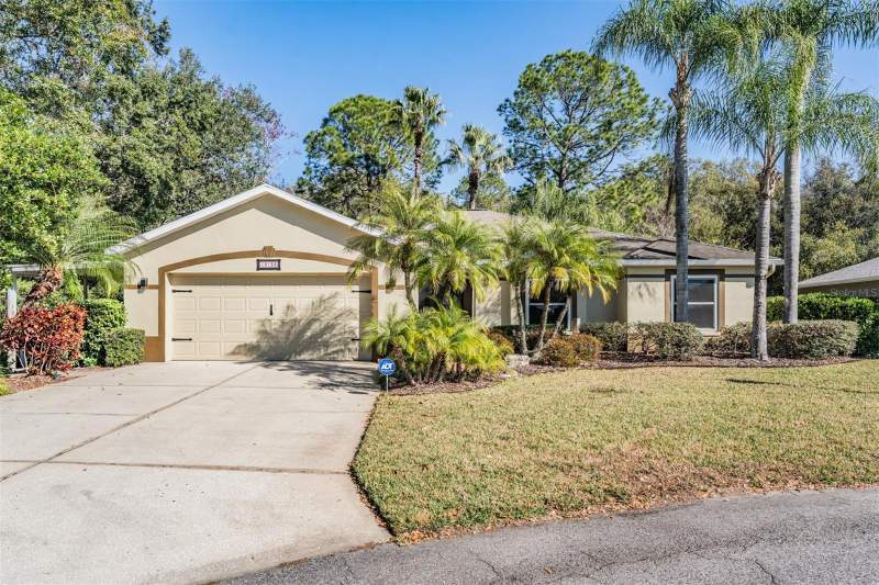3 bedroom Single Family Residence at 10133 Collar Drive, Tampa Bay Golf And Tennis Club, San Antonio — photo 1