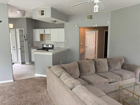 1101 Vintage Village Lane #110, Ocoee FL - photo 6 of 38