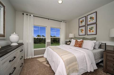 31731 Oyster Trellis Lane, Wesley Chapel FL - photo 17 of 24