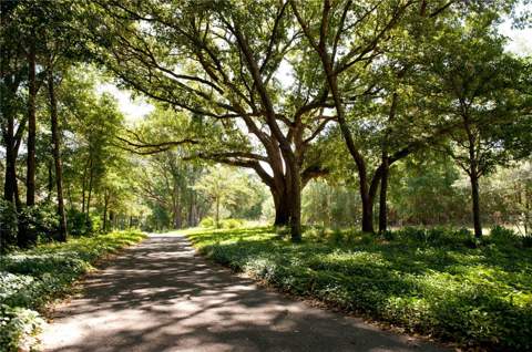 1062 SW 135th Drive, Newberry FL - photo 7 of 9