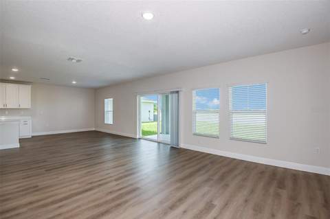 31717 Bienville Lane, Wesley Chapel FL - photo 12 of 31