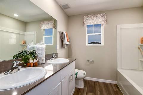 31685 Oyster Trellis Lane, Wesley Chapel FL - photo 8 of 27