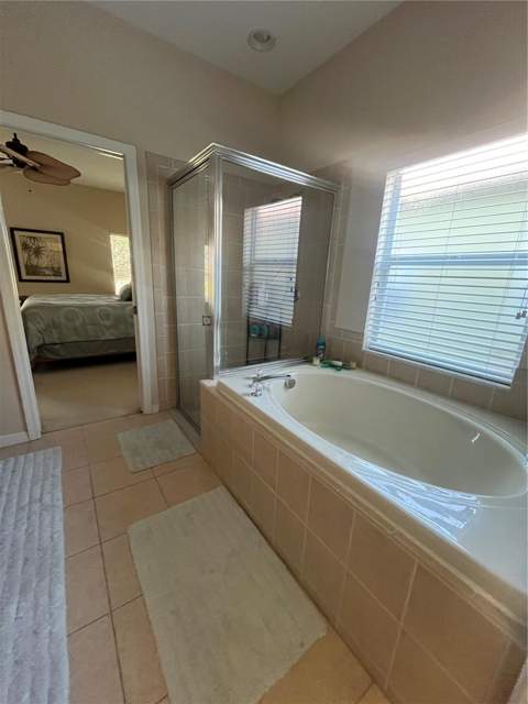 23835 Coral Ridge Lane, Land O Lakes FL - photo 23 of 37