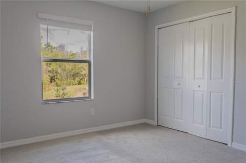 17711 Nectar Flume Drive, Land O Lakes FL - photo 21 of 33