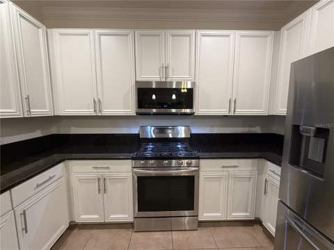 19314 Red Sky Court, Land O Lakes FL - photo 10 of 28