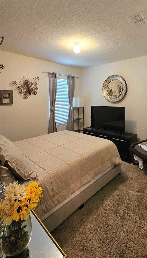 2459 Valhalla Drive, Tavares FL - photo 15 of 41
