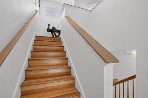 19262 Stone Hedge Drive, Tampa FL - photo 16 of 43