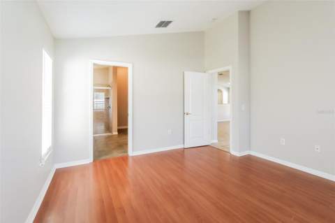 23211 Bayou Grove Street, Land O Lakes FL - photo 12 of 15