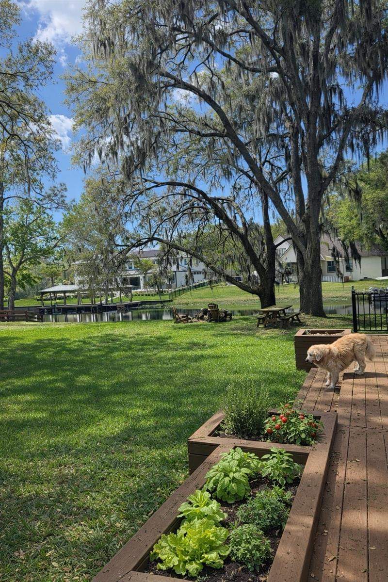 3 bedroom Single Family Residence at 11102 Shady Oak Street, Lake Hart Estate, Orlando — photo 4