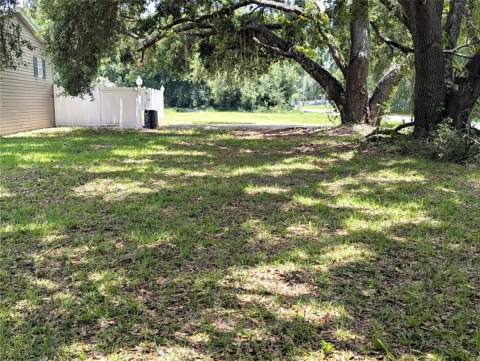 30517 Clearview Drive, Wesley Chapel FL - photo 11 of 40