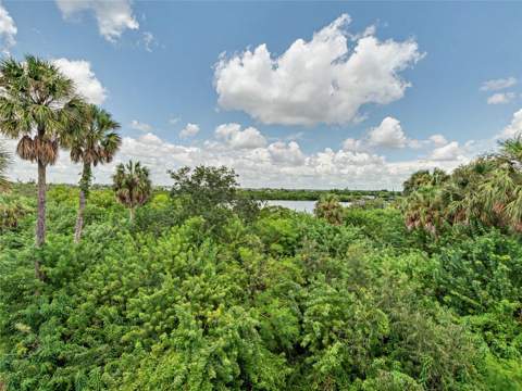 4866 Tuscan Loon Drive, Tampa FL - photo 16 of 27