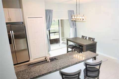 17620 Nectar Flume Drive, Land O Lakes FL - photo 8 of 58