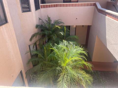 7786 Sugar Bend Drive #7786, Orlando FL - photo 6 of 18