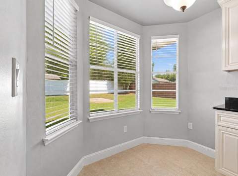 4745 Canterbury Drive, Land O Lakes FL - photo 14 of 73