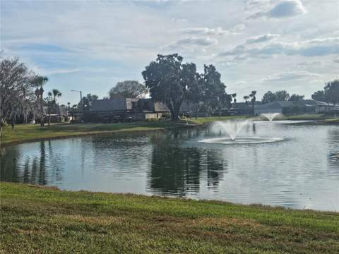 2927 Tangerine Court, Leesburg FL - photo 8 of 23