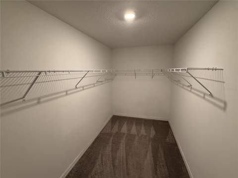 15516 Miller Creek Drive, Sun City Center FL - photo 17 of 19