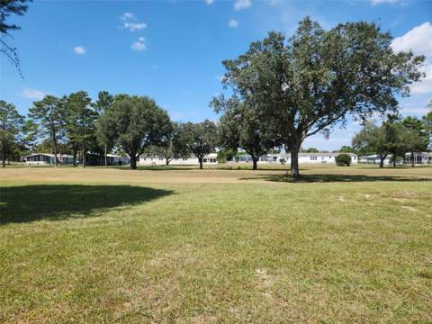 15461 Brookridge Boulevard, Brooksville FL - photo 6 of 6
